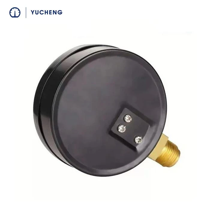 steel case pressure gauge (2)
