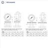 Diaphragm Pressure Gauge Range